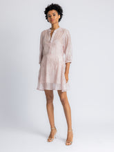 Load image into Gallery viewer, Nellie Embroidered Mini Dress