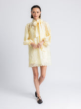 Load image into Gallery viewer, Carla Floral Embroidered Dress
