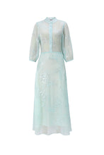 Load image into Gallery viewer, Salome Sheer Long Sleeve Maxi Dress
